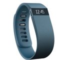 Fitbit Charge Activity Wristband Slate