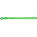 Black Diamond Ski Strap 20in Envy Green