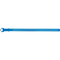 Black Diamond Ski Strap 20in Ultra Blue