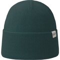 Superyellow Coast Beanie Pine Green