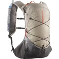 Salomon XT 10 Set Feather Gray / Plum Kitten / Cherry Tomato