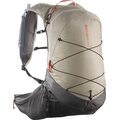 Salomon XT 20 Set Feather Gray / Plum Kitten / Cherry Tomato