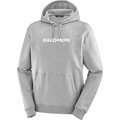 Salomon Logo Performance Hoodie Mens Heather Grey