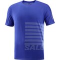 Salomon Sense Aero Short Sleeve Tee GFX Mens Surf The Web / Rainy Day