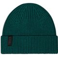 Mons Royale Fjord 100% Merino Beanie Evergreen