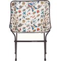 Big Agnes Mica Basin Camp Chair Bugs Print