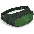 Osprey Daylite Waist Green Belt/Green Canopy