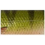 Savage Gear 3D Roach Glider 18cm/65g 03 - Perch