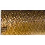 Savage Gear 3D Roach Glider 18cm/65g 04 - Dirty Roach