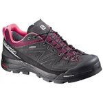 Salomon X Alp LTR GTX W Asphalt/Bord/PK