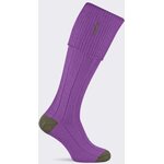 Pennine Imperial Shooting Sock Mauve