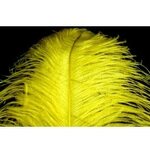 FutureFly Giant Ostrich Yellow