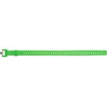 Black Diamond Ski Strap 20in Envy Green