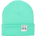 Appertiff Hightop Beanie Mint