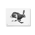 Teemu Järvi Paper Poster Large, 50 X 70 cm Hare