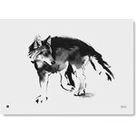 Teemu Järvi Paper Poster Large, 50 X 70 cm Wolf