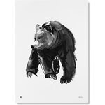 Teemu Järvi Paper Poster Small, 30 x 40 cm Gentle Bear