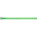 Black Diamond Ski Strap 25in Envy Green