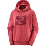 Salomon Outlife Logo Summer Hooded Pullover Womens Earth Red