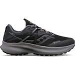 Saucony Ride 15 TR GTX Womens Black/Charcoal