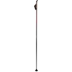 Exel Spectra Grey / Red