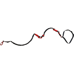 Fido Pro Remi Runner Leash Black
