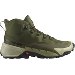 Salomon Cross Hike Mid GTX 2 Mens Olive Night/Moss Gray/Black