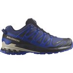 Salomon XA PRO 3D V9 GTX Mens Blue Print / Surf The Web / Lapis