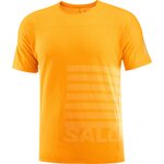 Salomon Sense Aero Graphic Mens Zinnia / White