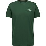 Mammut Core T-Shirt Never Rest Mens Woods