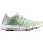 Salomon Predict 2 Womens Spray / Granite Green / Blooming Dahlia