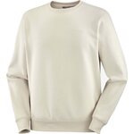 Salomon Logo Crewneck Mens Rainy Day