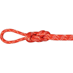 Mammut 9.5 Gym Classic Rope Raspberry-White