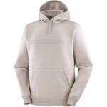 Salomon Big Logo Hoodie Mens Etherea