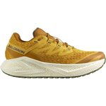 Salomon Aero Glide 3 Gravel Mens Spicy Mustard / Vanilla Ice / Deep Lichen Green