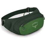Osprey Daylite Waist Green Belt/Green Canopy