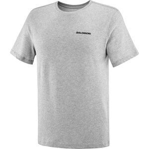 Salomon Graphic Perf Short Sleeve Tee Mens, Heather Grey, L