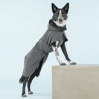 Paikka Visibility Raincoat for Dogs, Dark, 40 cm