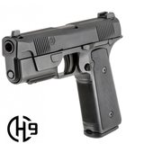 Hudson H9