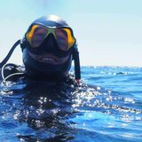 PRIVAT Guided Shore dive