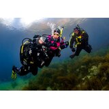 PADI Dry Suit Diver (Private course)