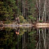 Fjällräven Brenner Pro Winter Trousers Mens