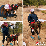 Fido Pro Panza Harness with Deployable Emergency Dog Rescue Sling