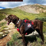 Fido Pro Panza Harness with Deployable Emergency Dog Rescue Sling