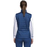 Dahlie Vest Graphlite Womens