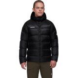 Mammut Taiss Pro IN Hooded Jacket Mens