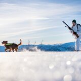 Åsnes Breidablikk Hunter BC