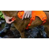 Ruffwear Web Master Harness (new design)