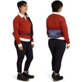 Osprey Transporter Waist