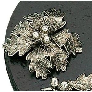 Oak leaves